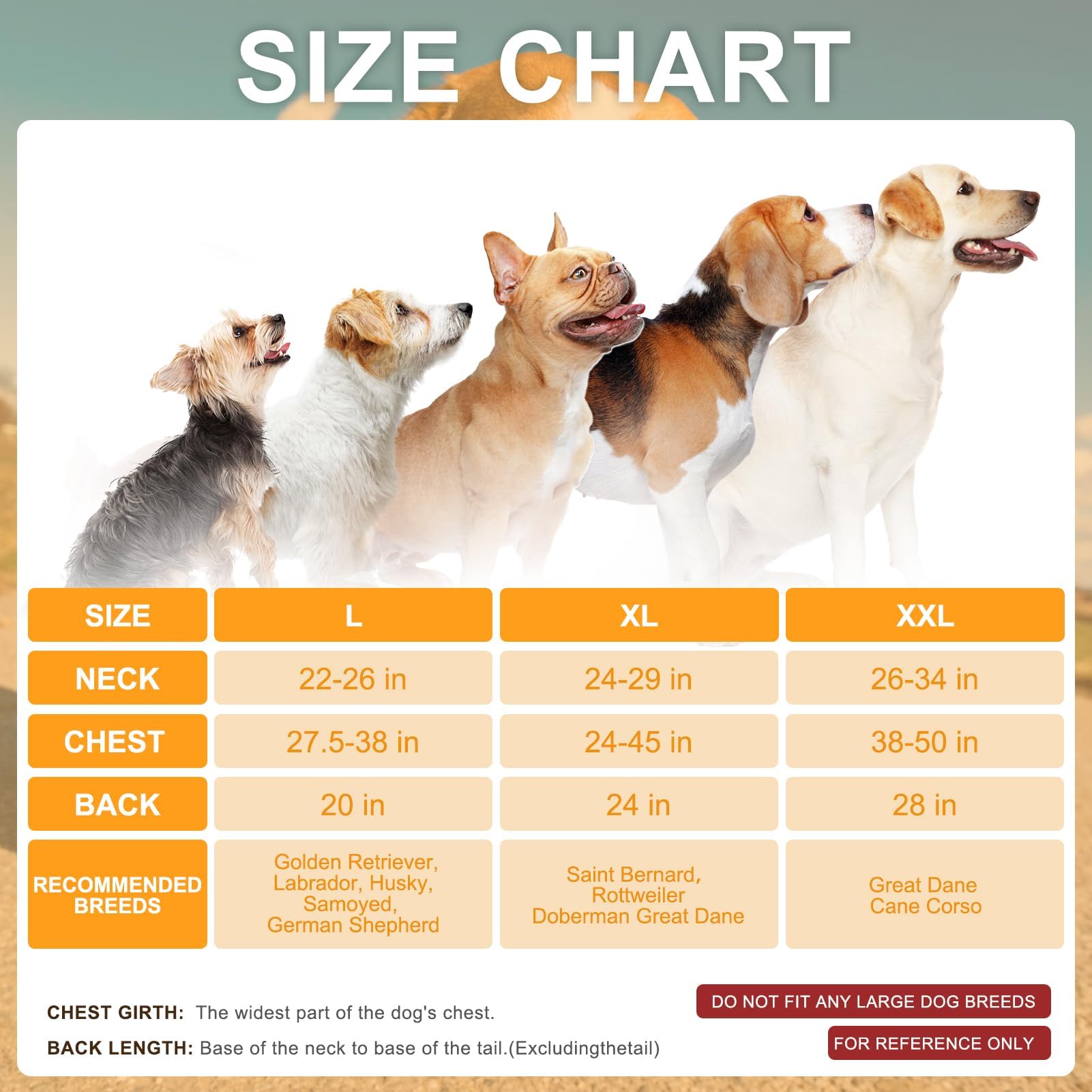 Beautyzoo dog winter coat anti theft pocket back for essentials.