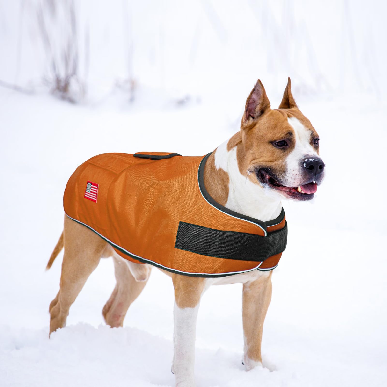 BEAUTYZOO dog winter coat back anti theft pocket for essentials