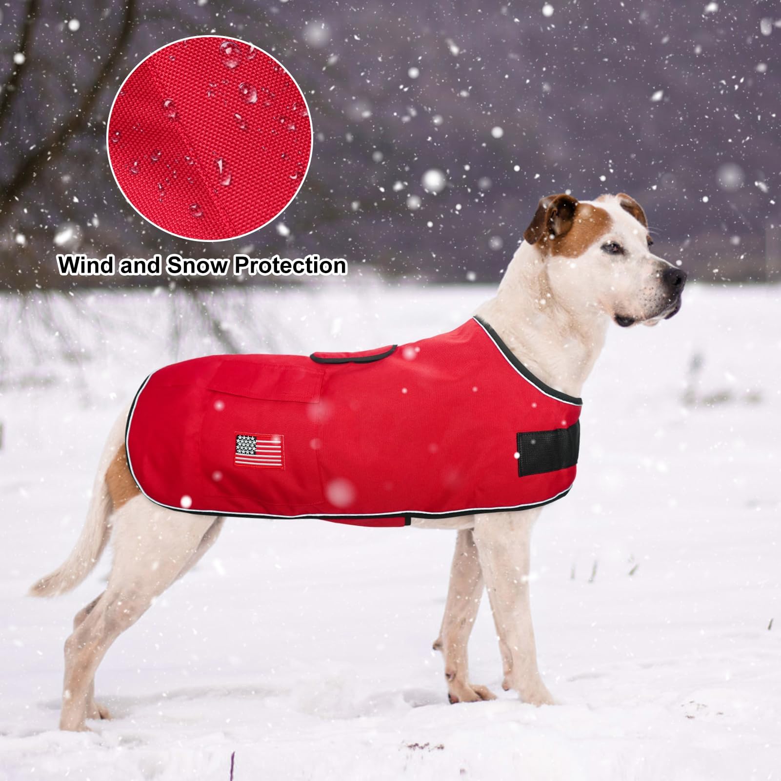BEAUTYZOO red coat on dog adds bold warmth for cold days