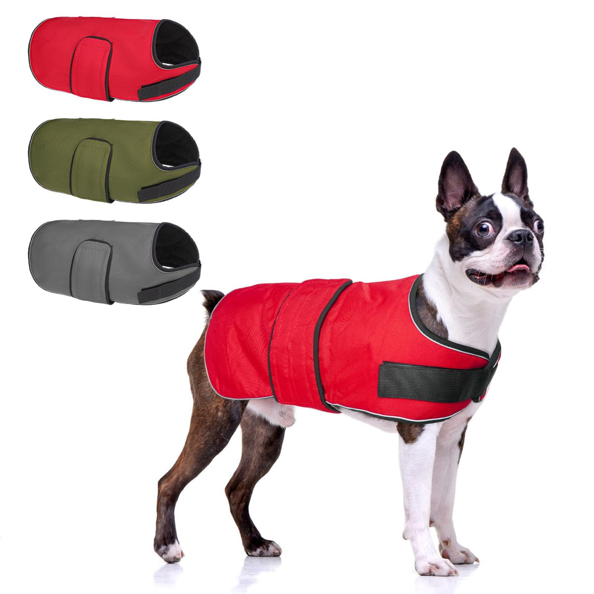 BEAUTYZOO dog winter coat back view highlights windproof Oxford fabric for medium dogs