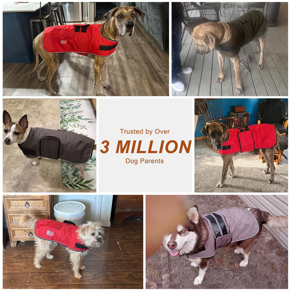Beautyzoo dog winter coat reflective piping for nighttime safety.