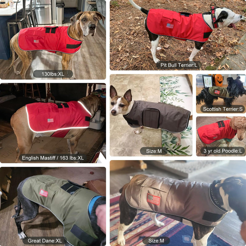 BEAUTYZOO winter coat reflective piping boosts nighttime visibility during walks