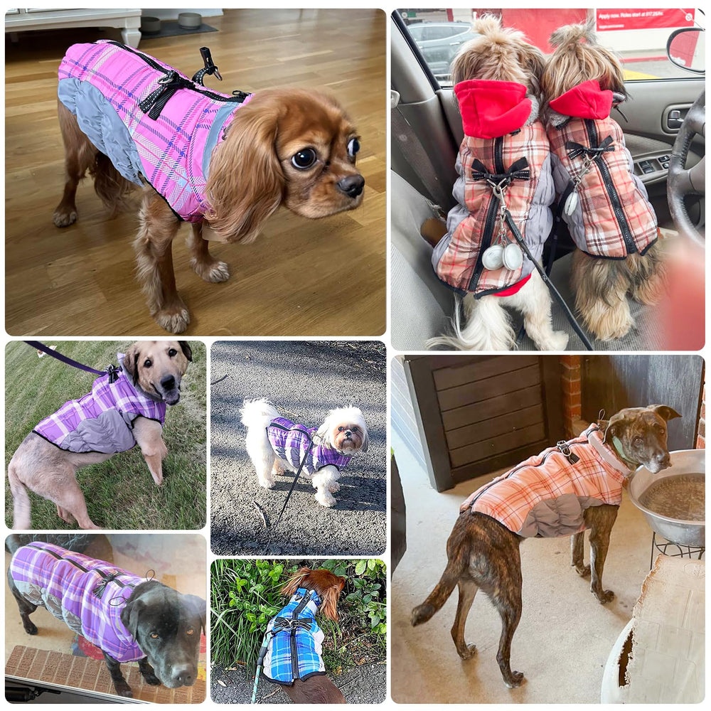 BEAUTYZOO dog-winter-coat-size-chart-guide helps find the right fit.