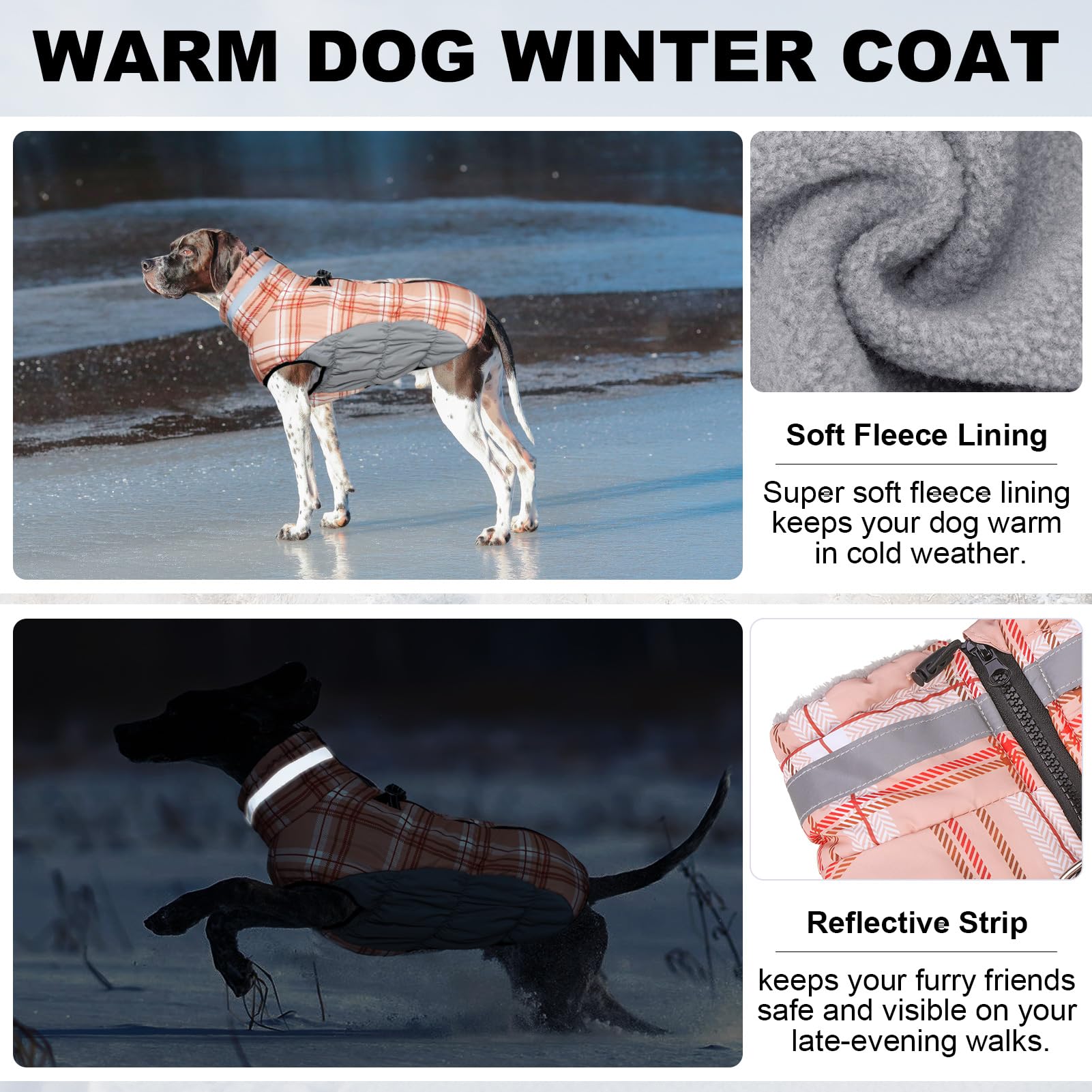 BEAUTYZOO size chart helps find the perfect fit for most breeds