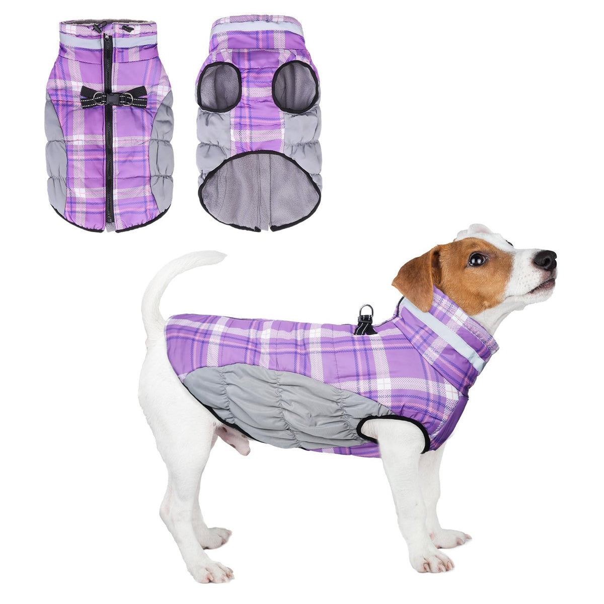 BEAUTYZOO dog winter coat with harness built-in in purple XS for comfortable walks