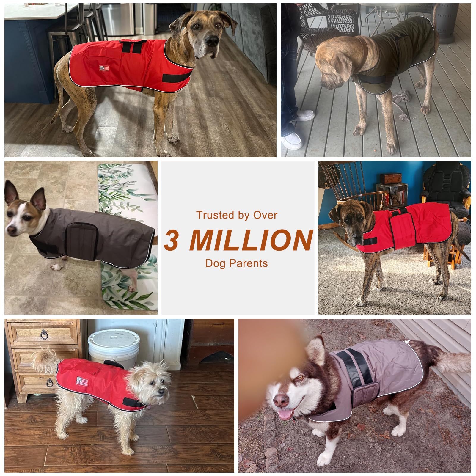 BEAUTYZOO Dog Winter Coat XXL gray-army-green variants offer versatile color choices.