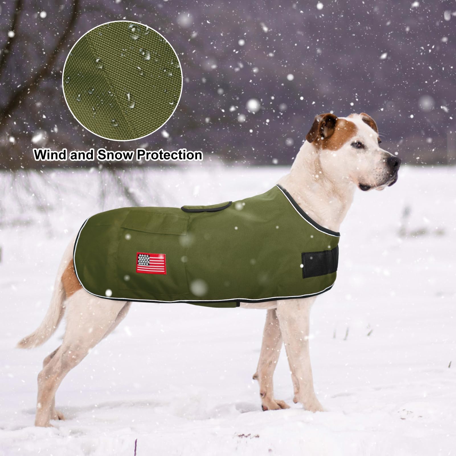Beautyzoo XXL green color option ready for outdoor walks.