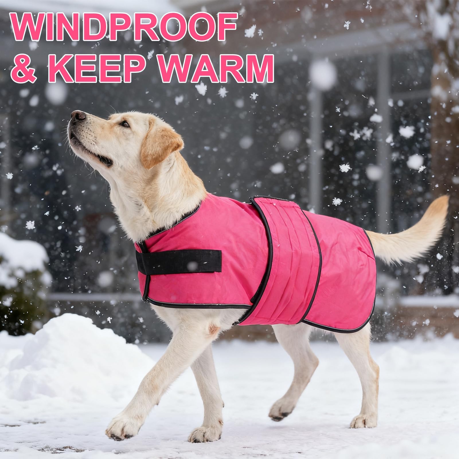 Beautyzoo dog winter coat XX-Large neck 26-31 for adjustable comfort.