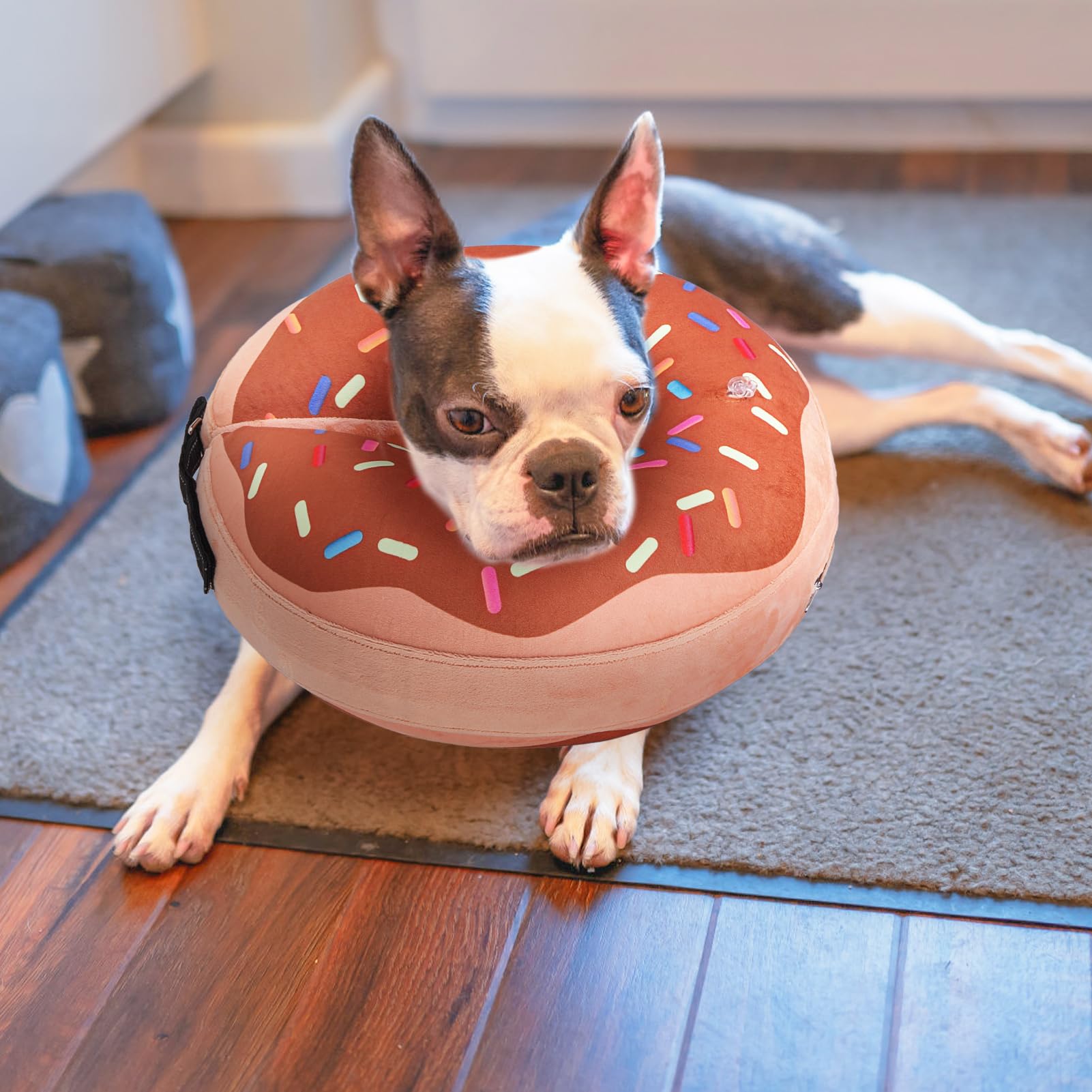 BEAUTYZOO donut shape doubles as a cute pet ornament during recovery