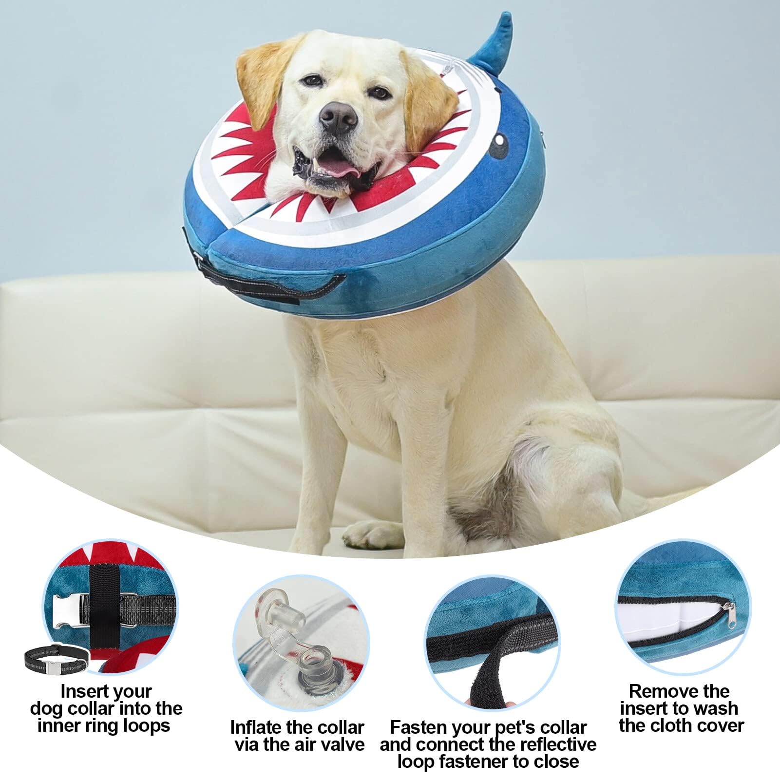 BEAUTYZOO dog with collar during mealtime showing unrestricted eating