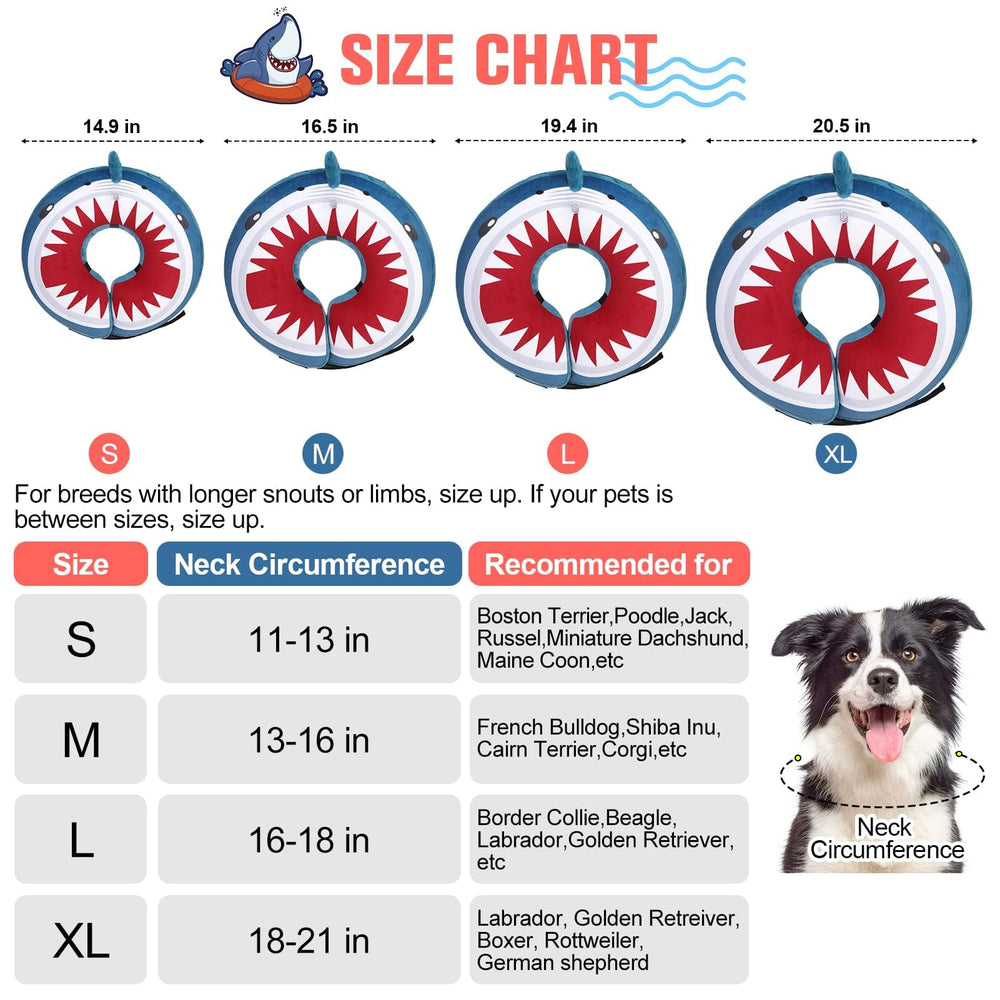 BEAUTYZOO donut collar blue on dog demonstrates comfortable recovery and neck protection