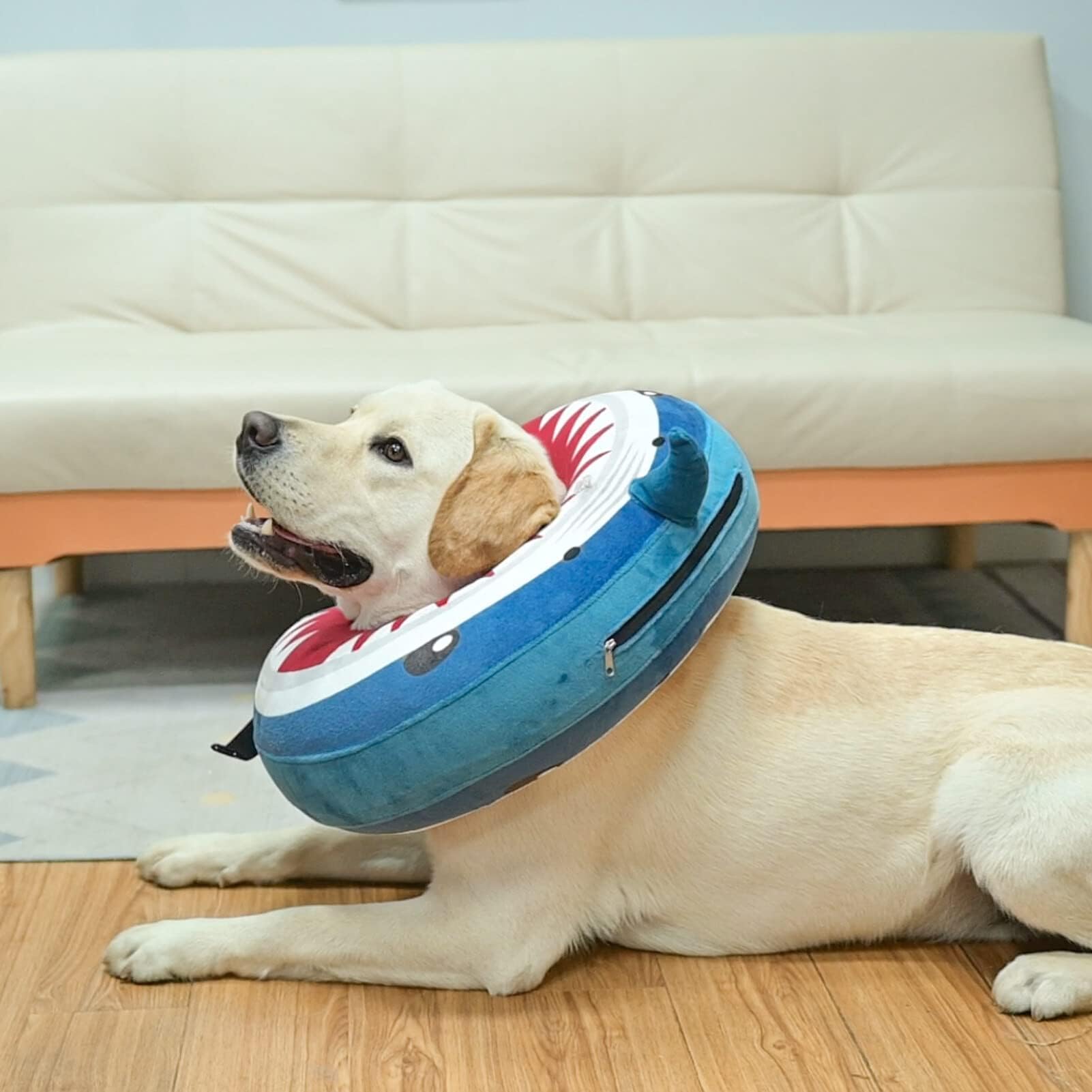 BEAUTYZOO collar stored flat and deflated for easy storage