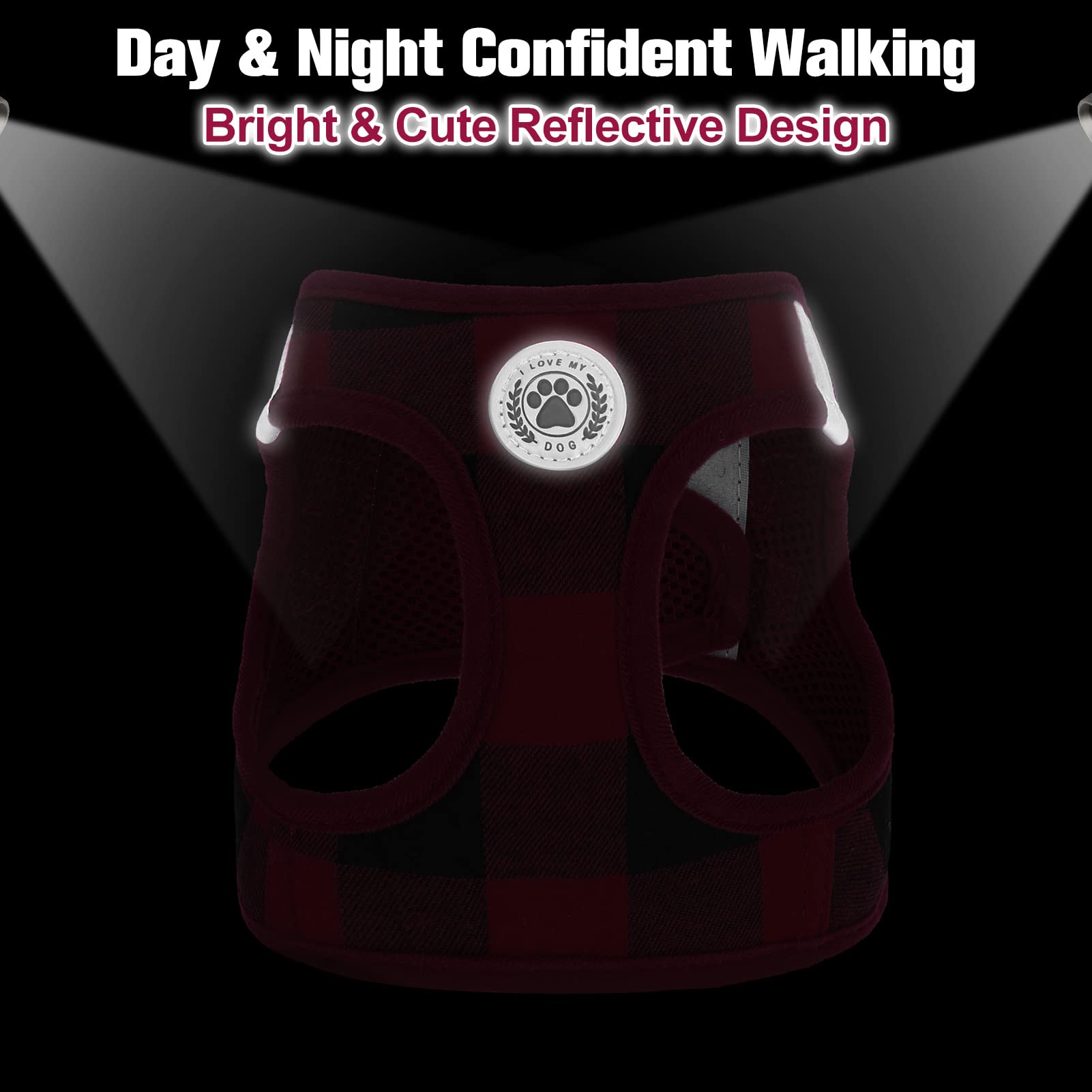 BEAUTYZOO double-D-ring closure shows two traction options for safer walks.