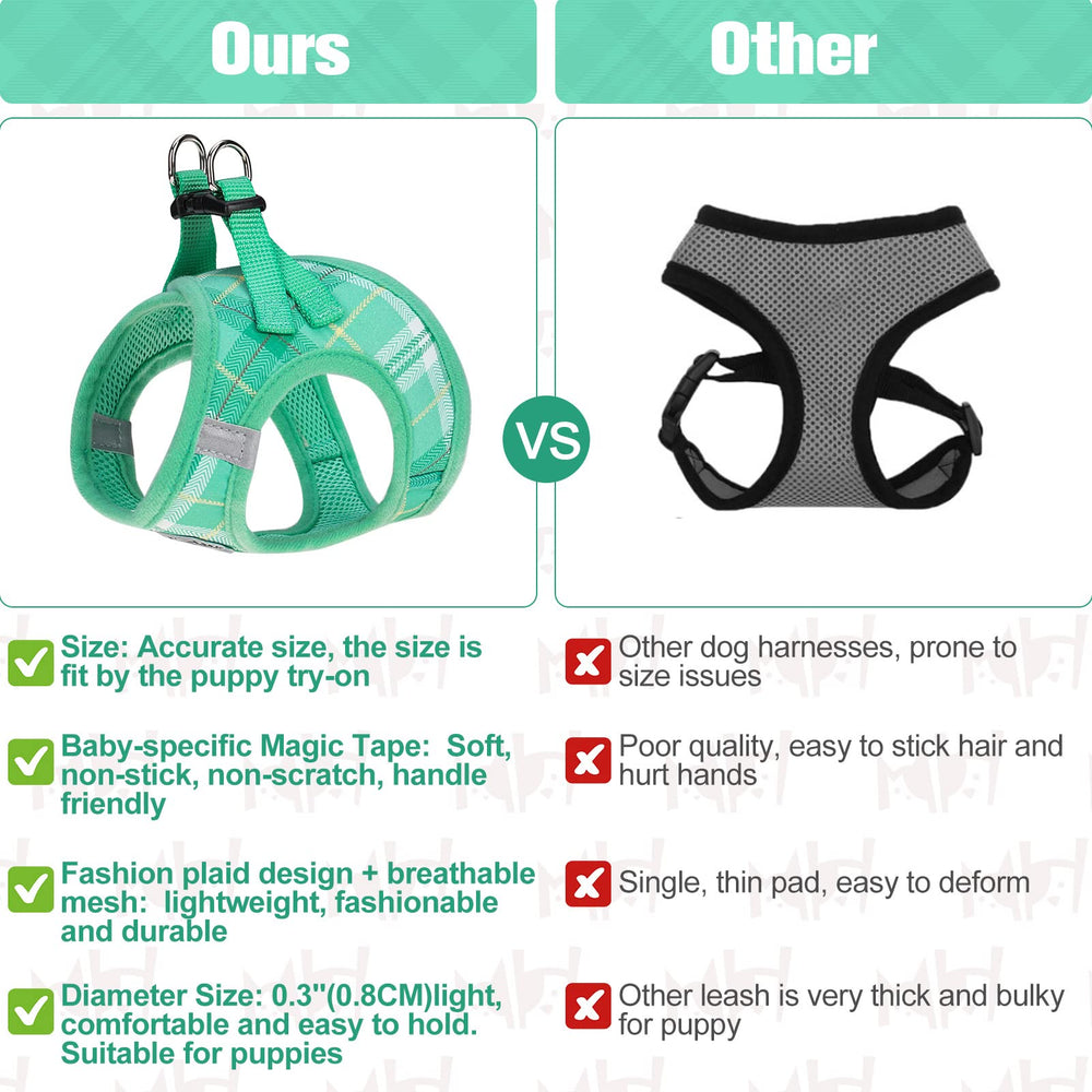 BEAUTYZOO double-D rings offer versatile traction options for walks.