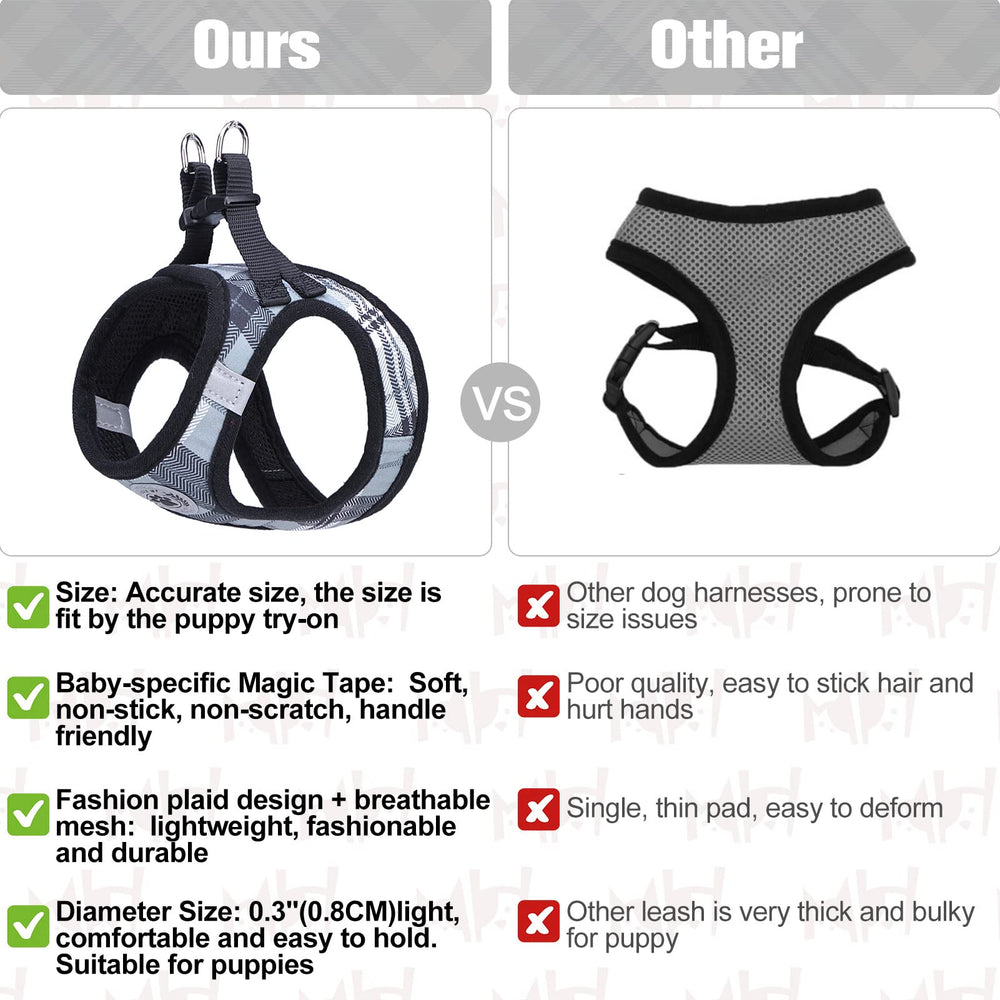 BEAUTYZOO dual-strap-no-choke harness demonstrates even pressure distribution for safer leash walks.