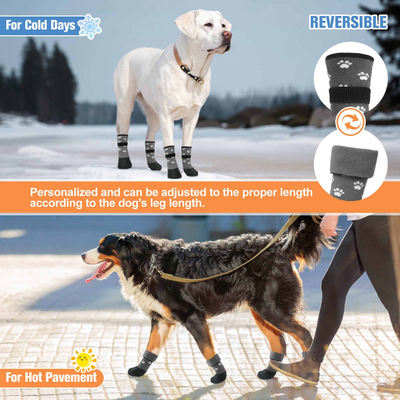 BEAUTYZOO available in sizes for small to large dogs for a better fit.