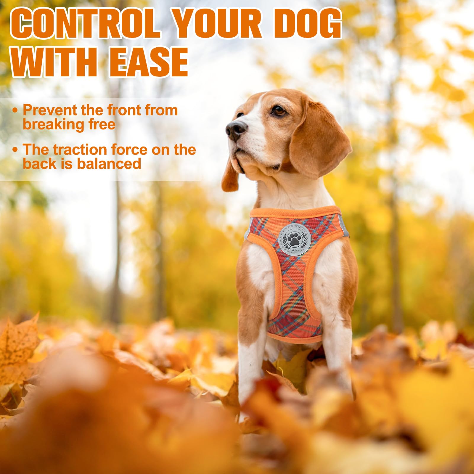 BEAUTYZOO Escape-proof buckle and step-in design shown for easy on-off daily walks