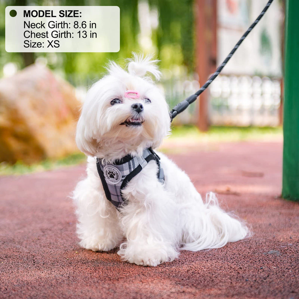 BEAUTYZOO escape-proof-dog-harness-visual showcases secure step-in design for small pets.