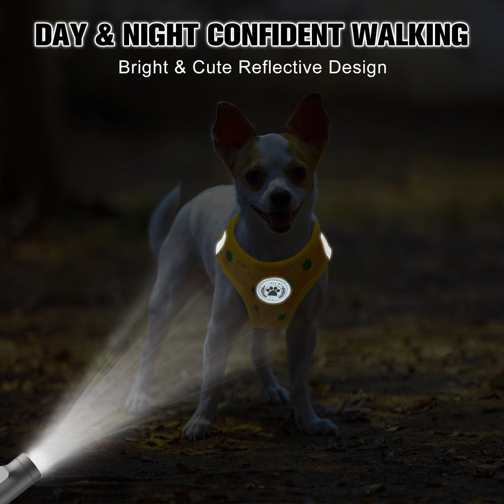 Beautyzoo escape-proof no-pull harness supports calm training sessions.