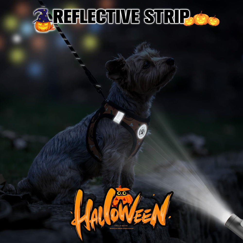 BEAUTYZOO escape-proof no-pull design keeps dogs secure during training and outings