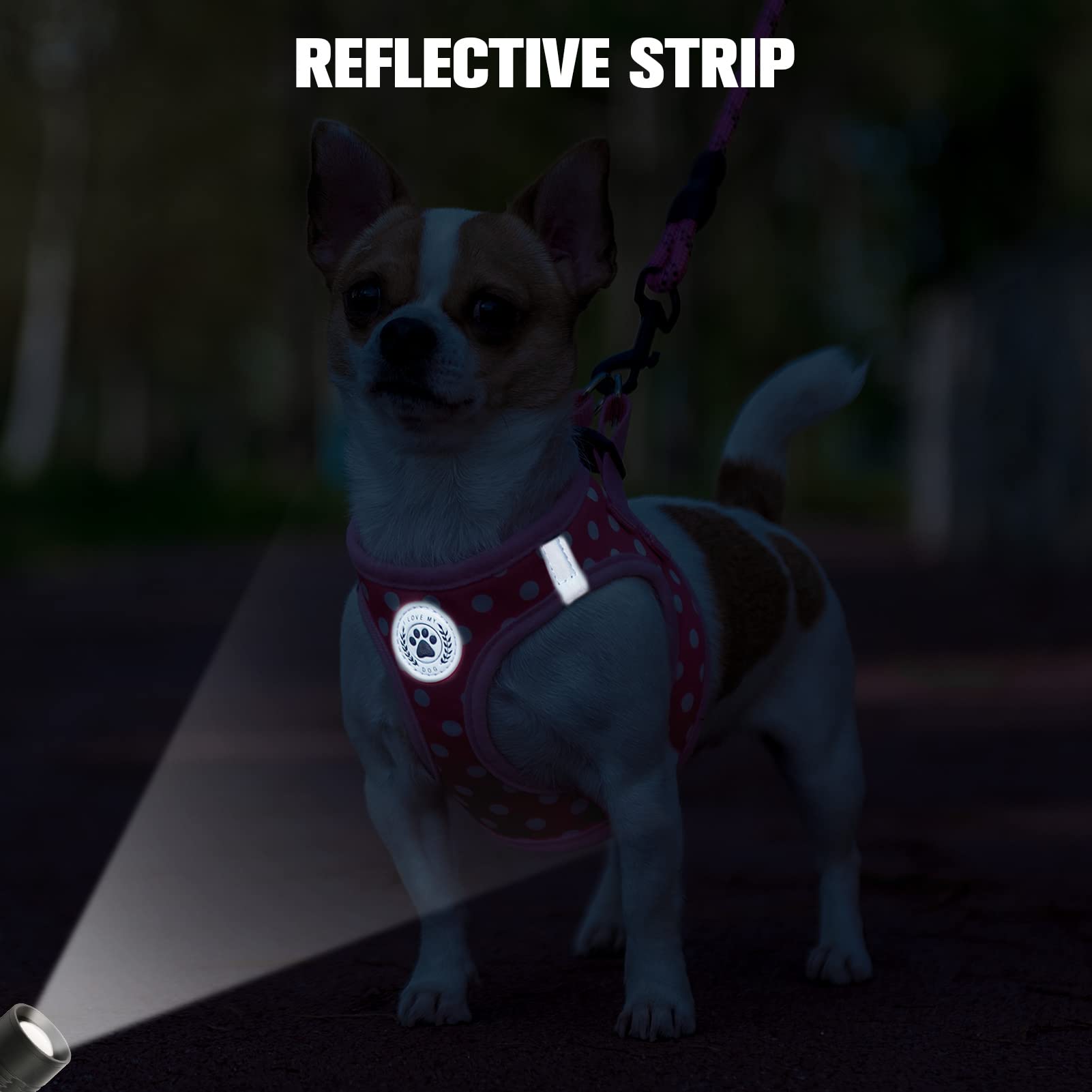 BEAUTYZOO Escape-proof step-in design for easy on/off.