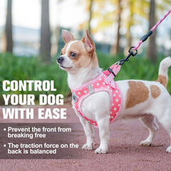 BEAUTYZOO Five-foot leash with reflective stripes for extra walking space.