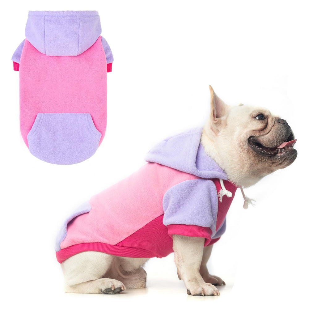 BEAUTYZOO fleece dog hoodie back view shows cozy warmth for cold walks