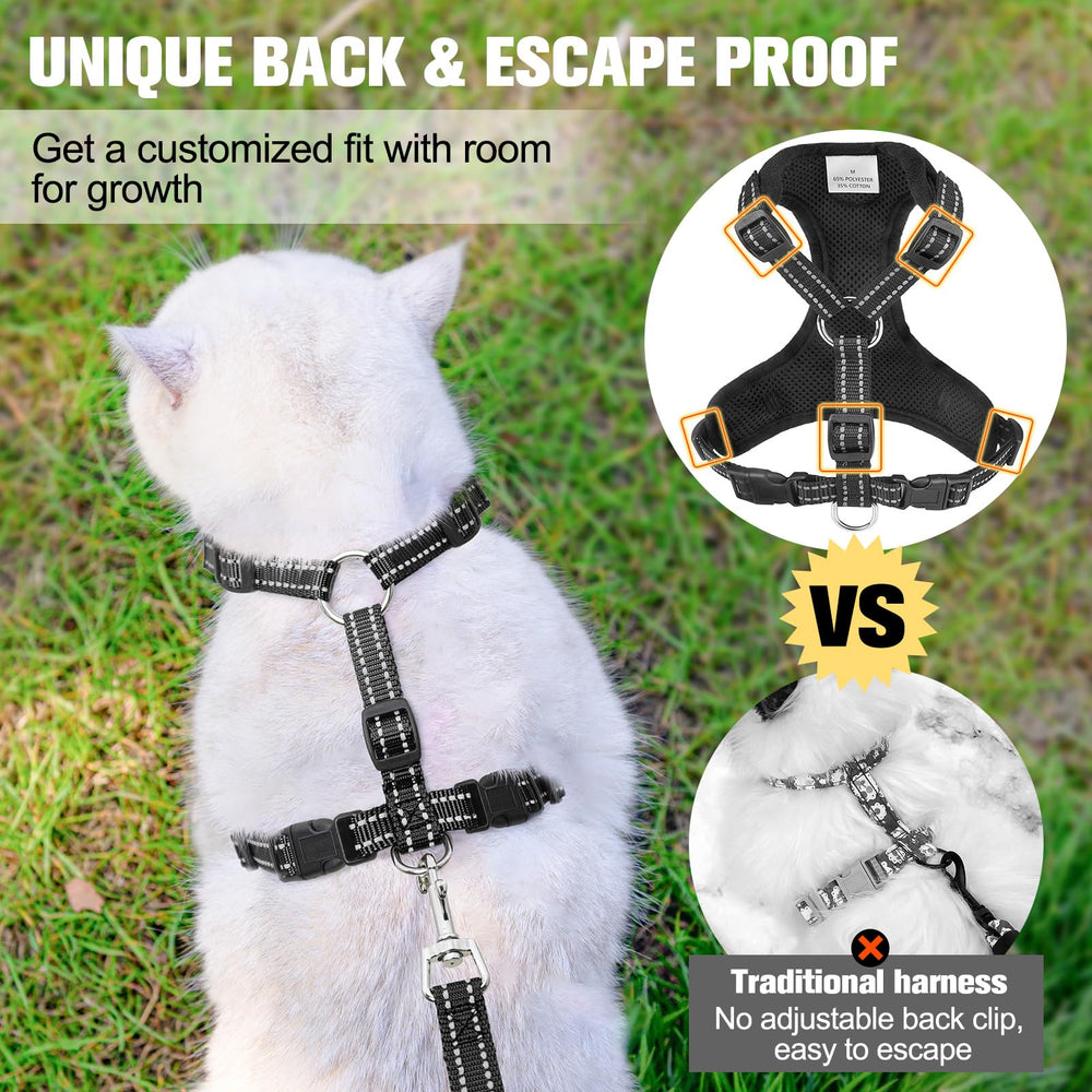 BEAUTYZOO harness chest buckles closeup shows easy on/off control.