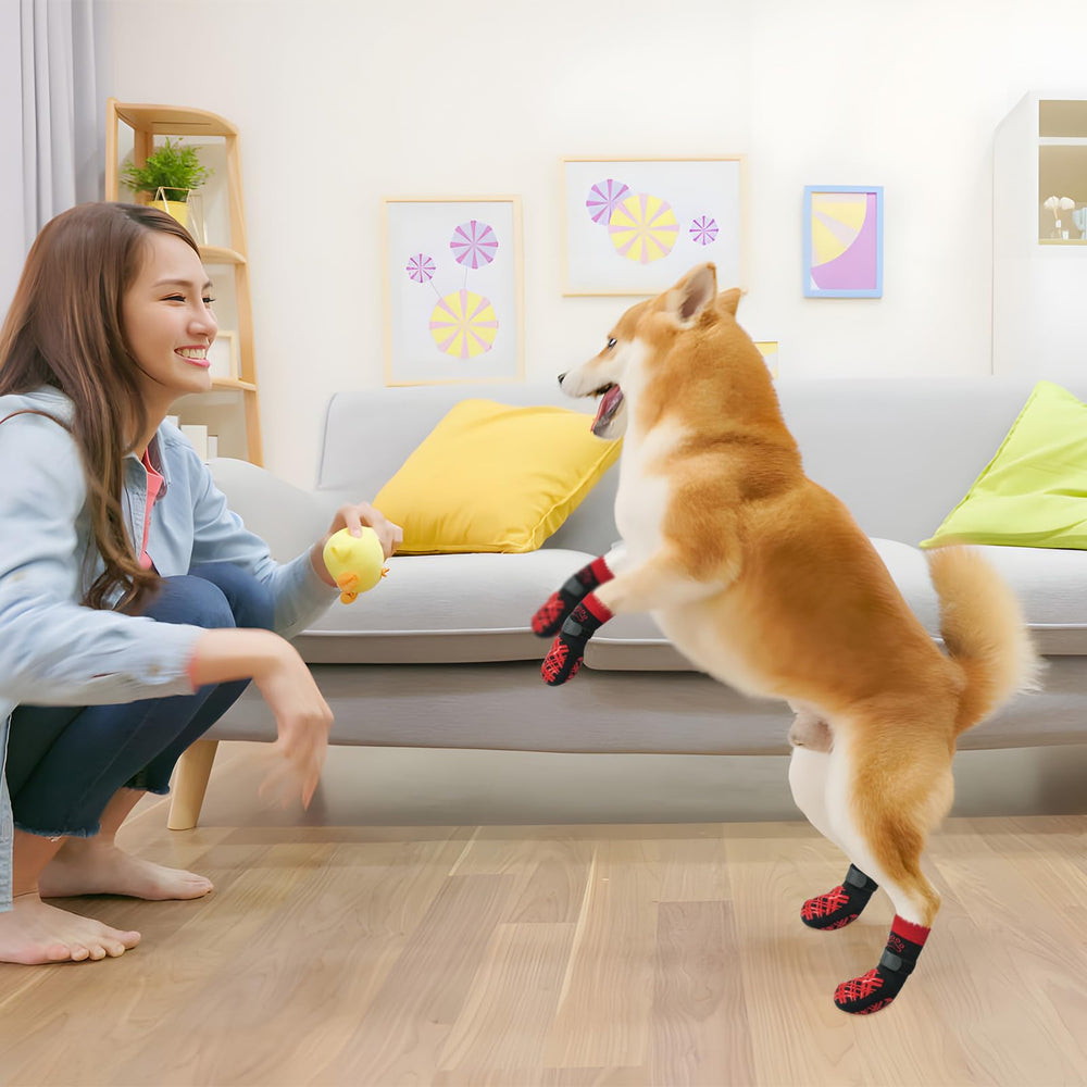 BEAUTYZOO juego de 4 pares en tallas para perros de todos los tamaños.