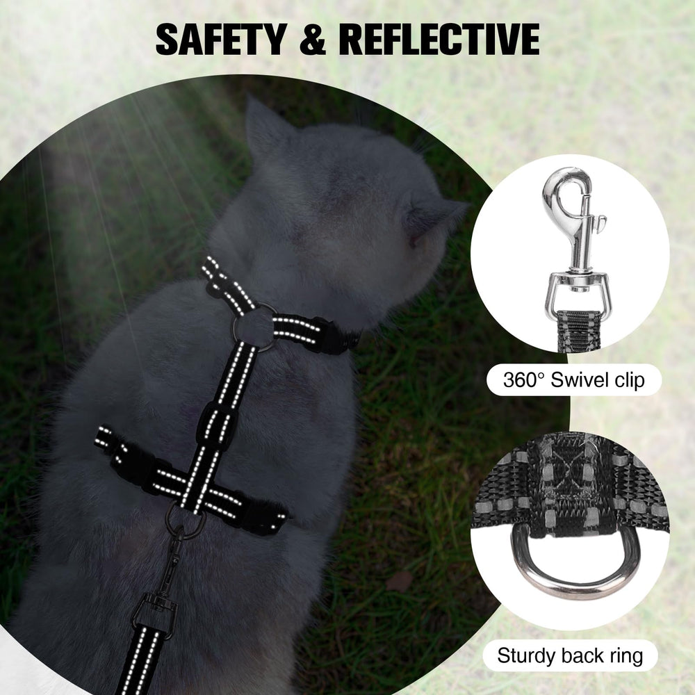BEAUTYZOO leash 5ft attachment completes the walk setup.