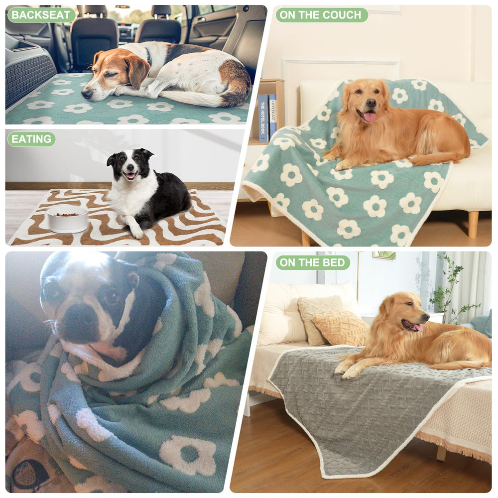 BEAUTYZOO machine-washable blanket stays fluffy after washes and is travel-friendly.