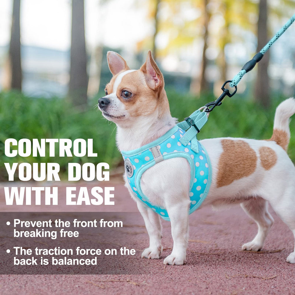 BEAUTYZOO machine-washable harness for quick cleaning after outdoor adventures.
