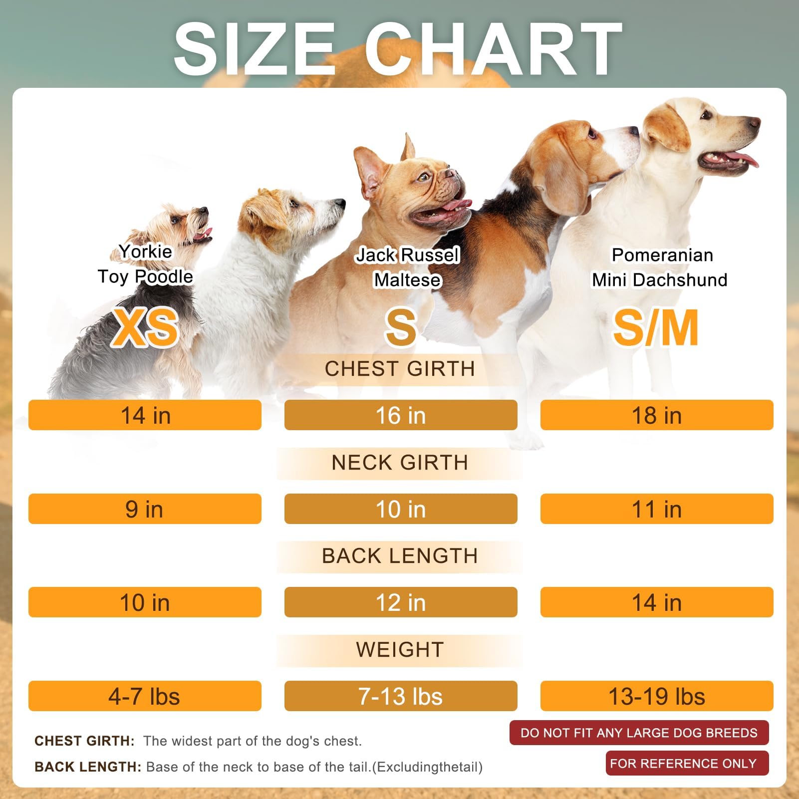 Beautyzoo machine-washable dog sweater stays presentable after washing.