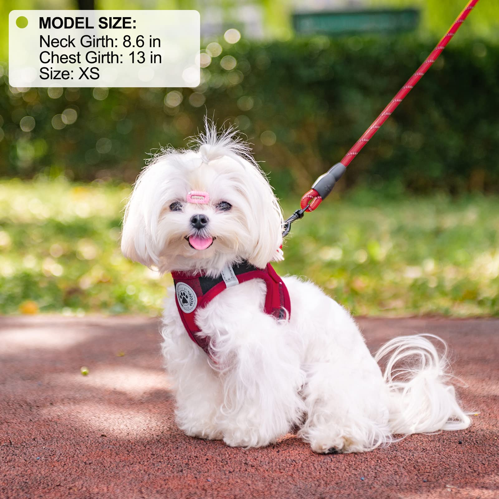 BEAUTYZOO chest-girth measurement guide image helps ensure a proper fit.