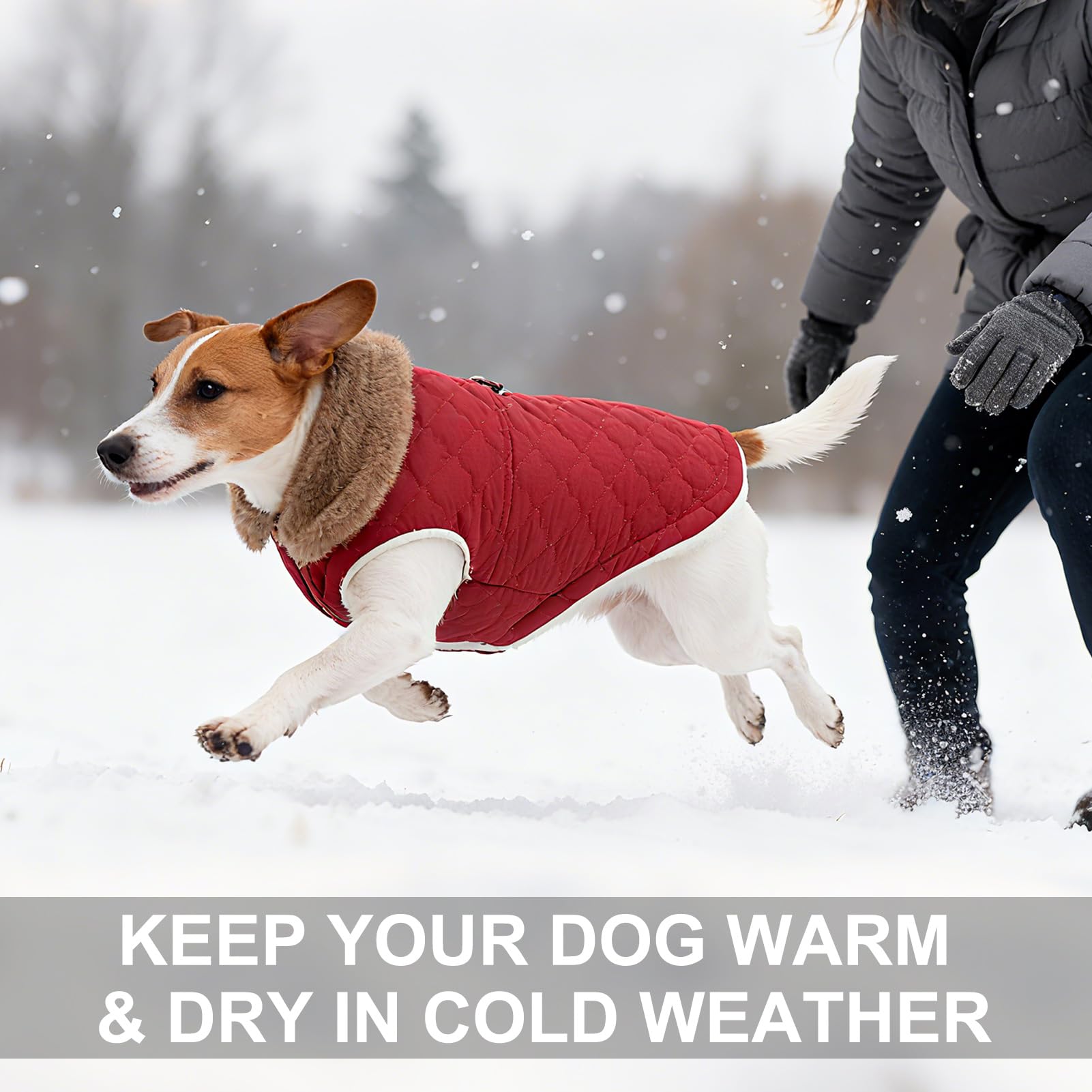 BEAUTYZOO memory-fabric outer layer provides windproof and water resistance for braving weather.