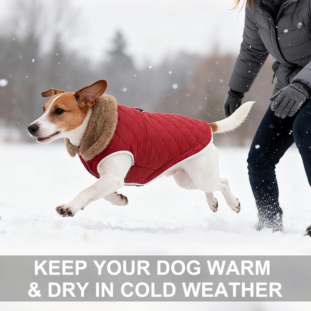 BEAUTYZOO memory-fabric outer layer provides windproof and water resistance for braving weather.