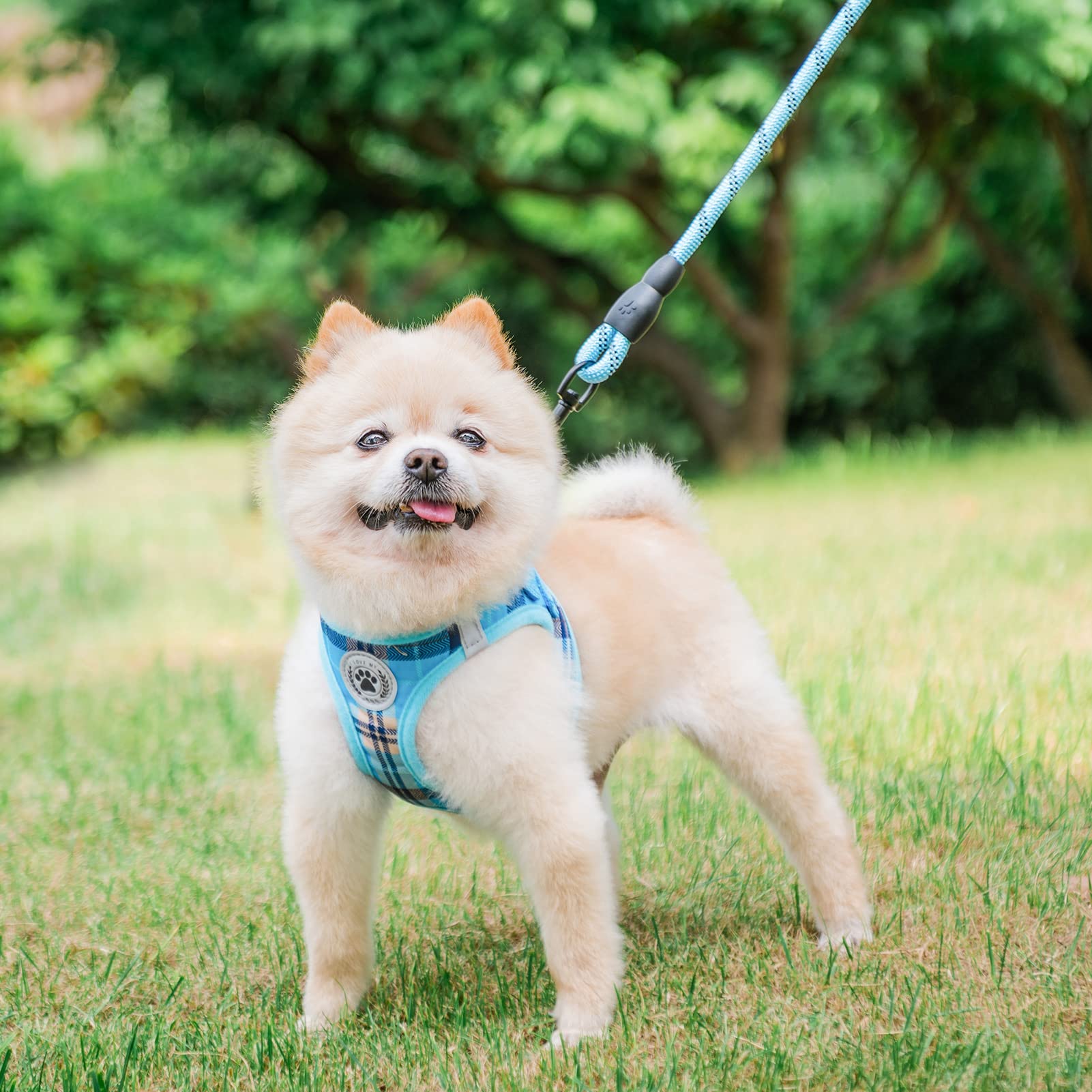 BEAUTYZOO night walk reflective strap for enhanced pet visibility