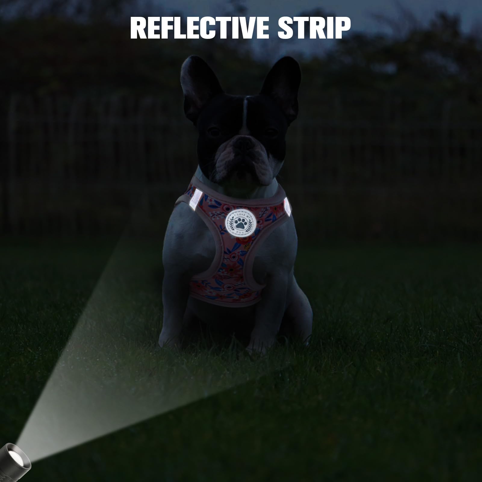 BEAUTYZOO reflective visuals on harness and leash boost night visibility.