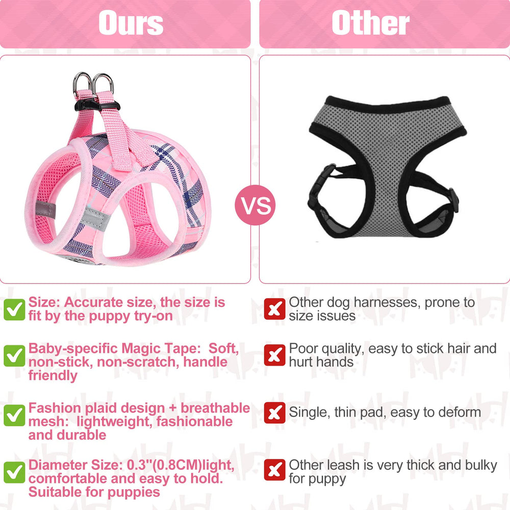 BeautyZoo no-pull choke-free strap reduces neck stress during walks.