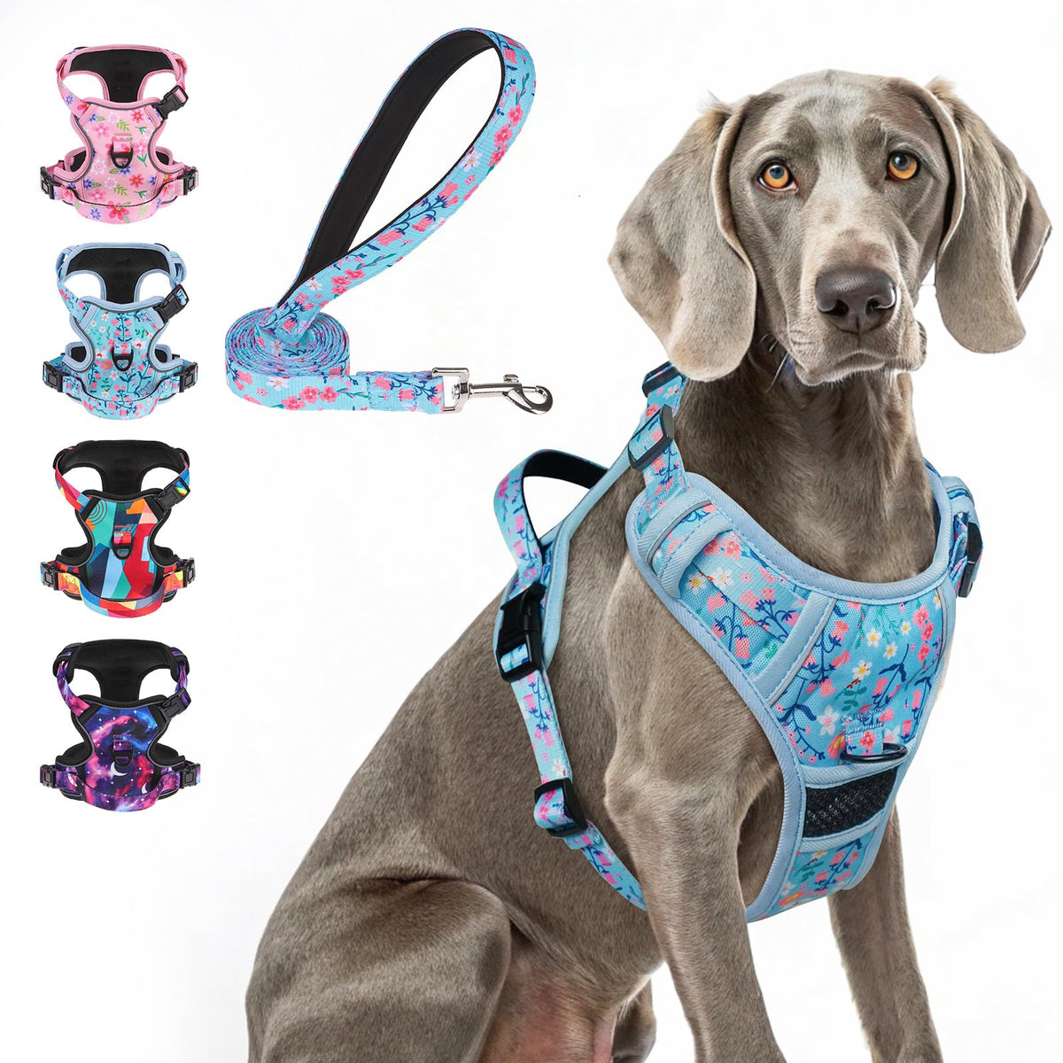 BEAUTYZOO No Pull Harness on a dog during walk for safer, relaxed outings.