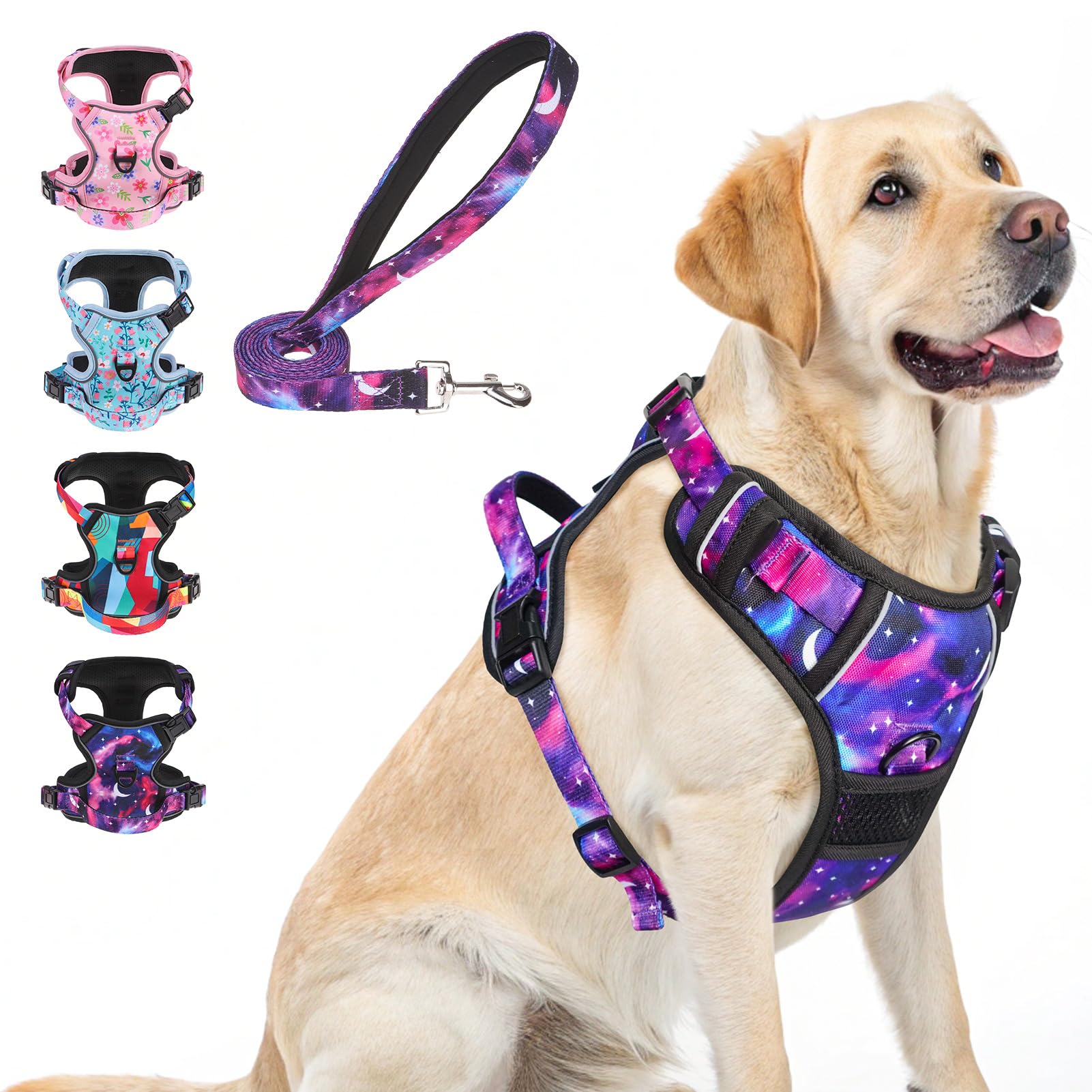 BEAUTYZOO No-Pull Harness front view shows secure, comfortable fit for daily walks.