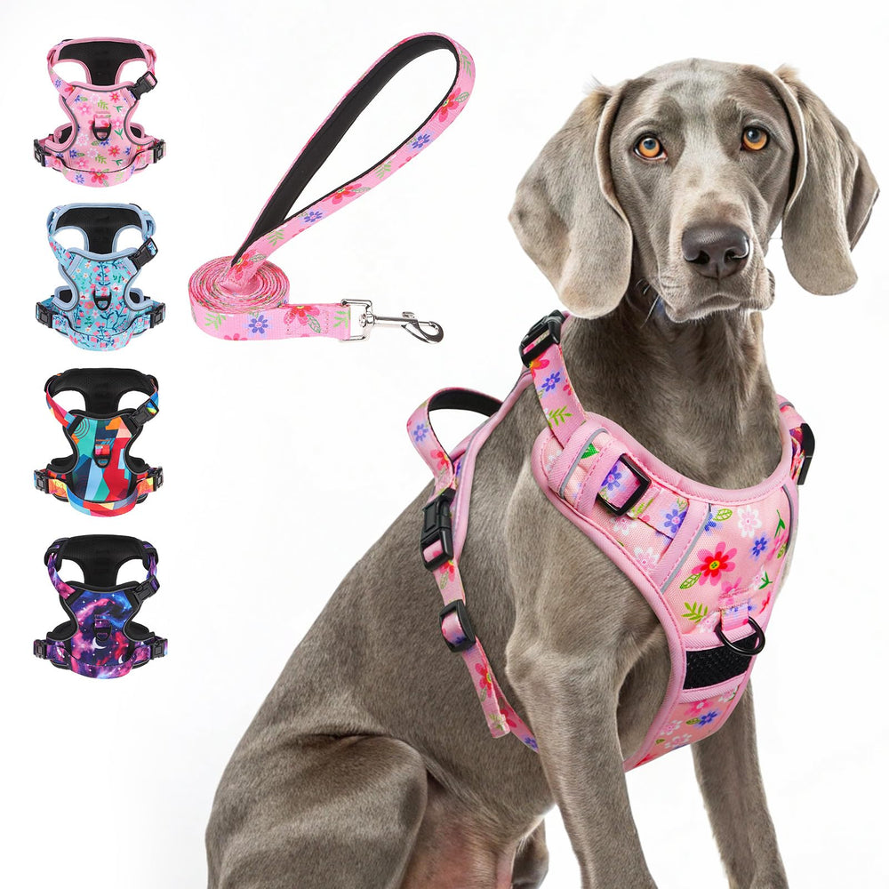 BEAUTYZOO No Pull Harness with overhead-free 3-snap buckles for easy on-off walks.