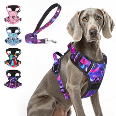 BEAUTYZOO No Pull Harness front view with overhead-free design for easy on-off