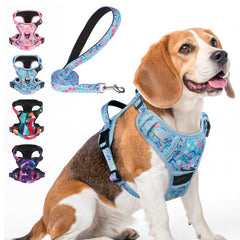 BEAUTYZOO No Pull Harness overview shows two metal leash clips for versatile walks