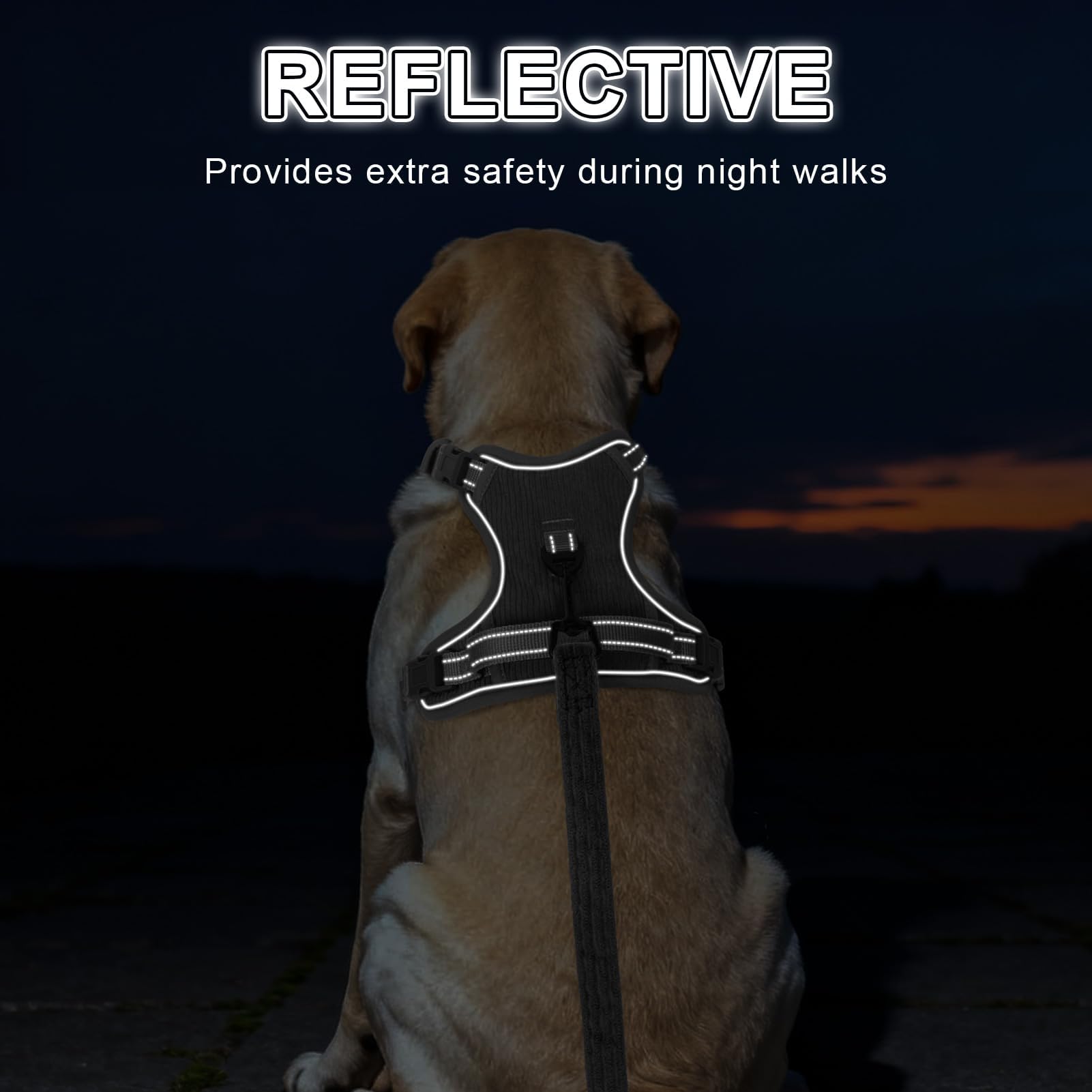 BEAUTYZOO No Pull harness padded handle provides extra control