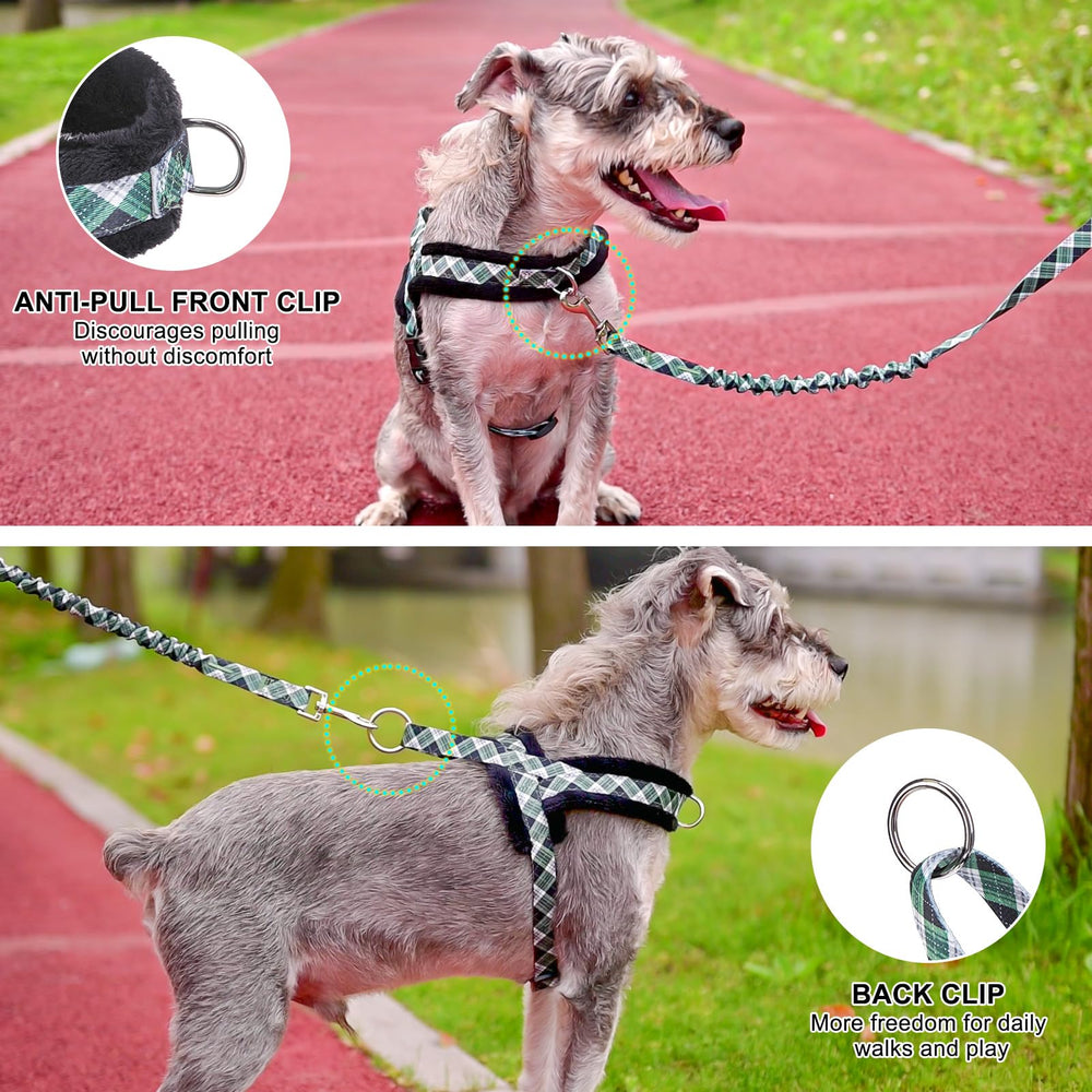 BEAUTYZOO No Pull Harness green XXS back view with front and back D-rings
