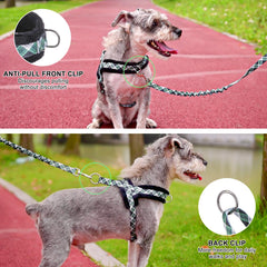 BEAUTYZOO No Pull Harness green XXS back view with front and back D-rings