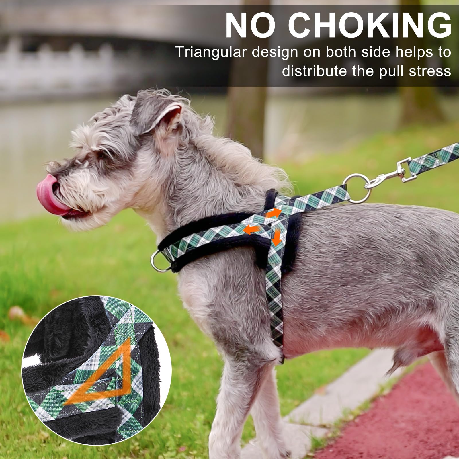 BEAUTYZOO No Pull Harness green XXS side view highlighting padded neck and chest for comfort