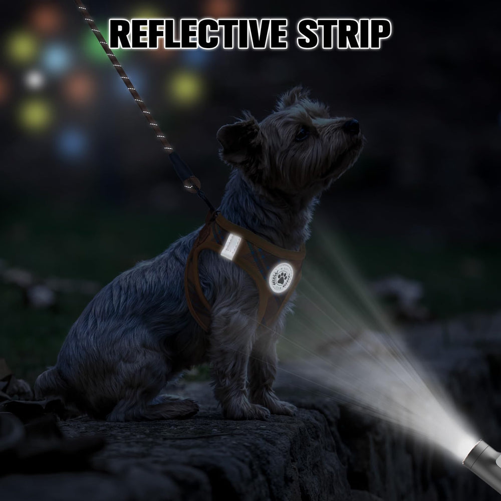 BEAUTYZOO Orange plaid harness and leash set highlighting visibility and stylish canine fashion