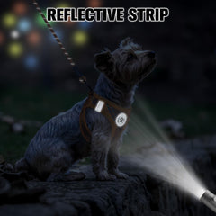 BEAUTYZOO Orange plaid harness and leash set highlighting visibility and stylish canine fashion